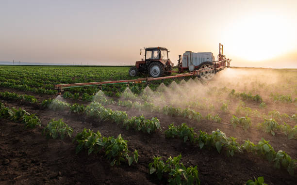 Best Insect Control  in Hastings, NE