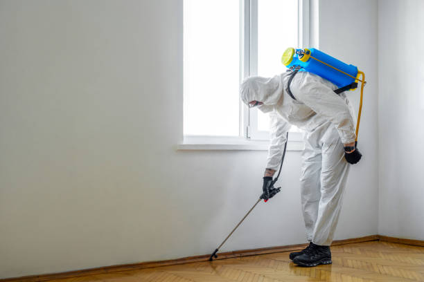 Trusted Hastings, NE Pest Control Experts