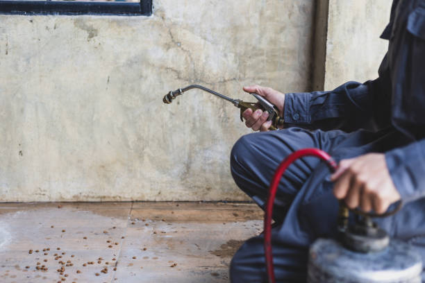 Best Flea Control Services  in Hastings, NE